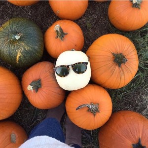 A Day In The Lalz; Fashion Blog; Fall, Fashion Blog, Karen Walker