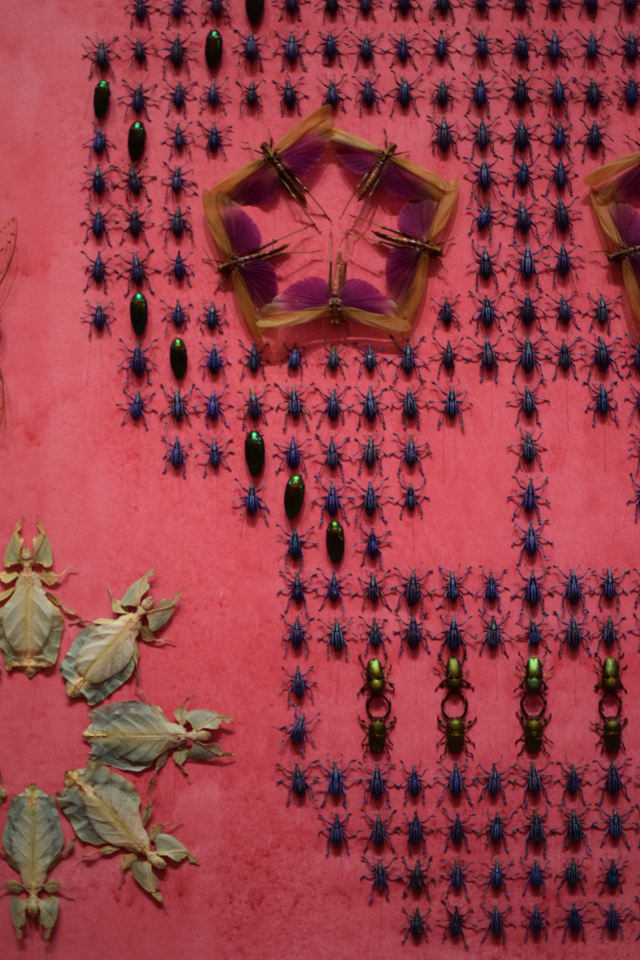 A Day In The Lalz; Renwick Galler; WONDER exhibition; Washington DC Museum; Smithsonian American Art Museum; Artist John Grade; Artist Patrick Doughert; Artist Jennifer Angus; Artist Tara Donovan; Artist Maya Lin; Things to Do in DC; Travel Blog; Museums in DC