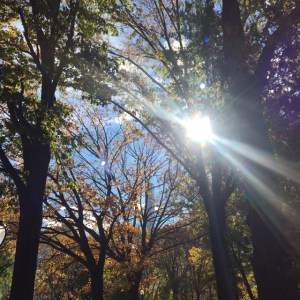 A Day In The Lalz; Stroll in Central Park; NYC; Fashion Blogger; Hijab; Modest Fashion; Street style NYC; Fall in NYC Fashion; 