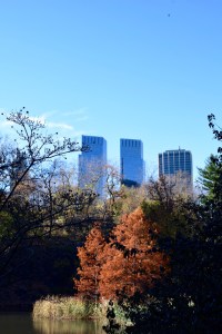 A Day In The Lalz; Stroll in Central Park; NYC; Fashion Blogger; Hijab; Modest Fashion; Street style NYC; Fall in NYC Fashion;