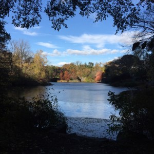 A Day In The Lalz; Stroll in Central Park; NYC; Fashion Blogger; Hijab; Modest Fashion; Street style NYC; Fall in NYC Fashion; 