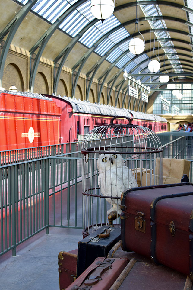 A Day In The Lalz Travel Blog; The Wizarding World of Harry Potter Park Itinerary; Universal Studios; Islands of Adventure; Orlando; Florida; Itinerary for Harry Potter Park; Adult Itinerary for Harry Potter; Hogwarts Express; What to do at Harry Potter; Exploring Diagon Alley; Hogsmeade; 
