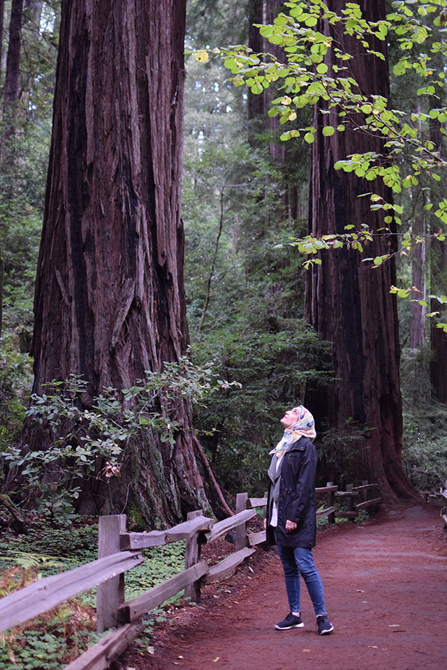 Muir Woods - San Francisco - Redwoods - Travel Blog - Muir Woods Hike - Fashion Blog - Haute Hijab Scarf