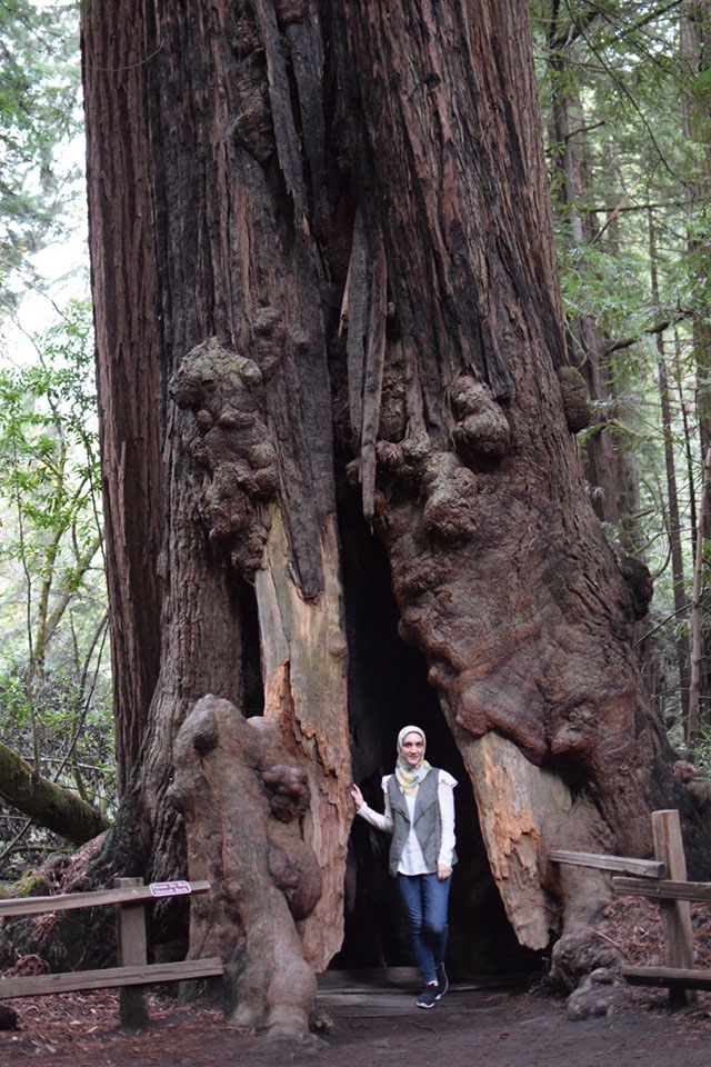 Muir Woods - San Francisco - Redwoods - Travel Blog - Muir Woods Hike - Fashion Blog - Haute Hijab Scarf