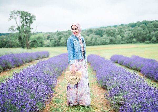 Lavender Fields
