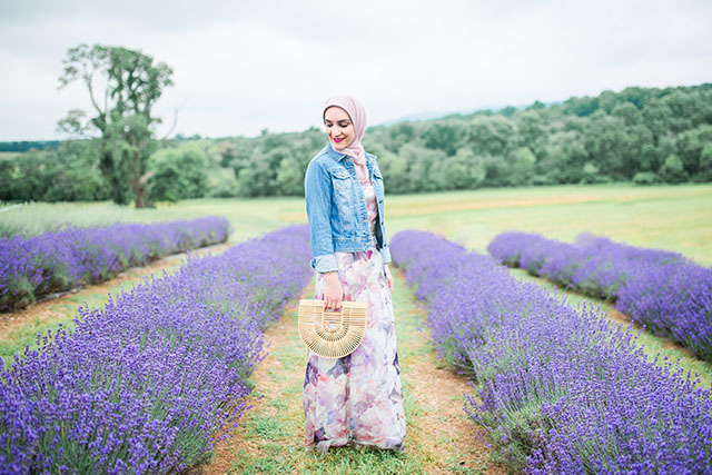 Lavender Fields