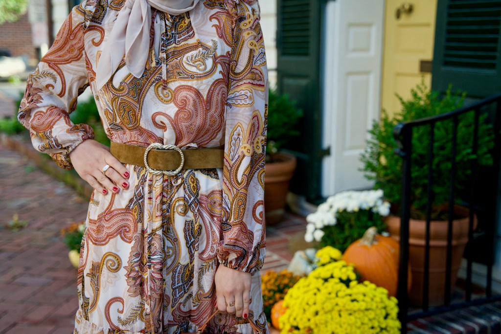 Fall-Midi-Dress-Modest-Fashion-Sezane-Belt-DC-Blogger