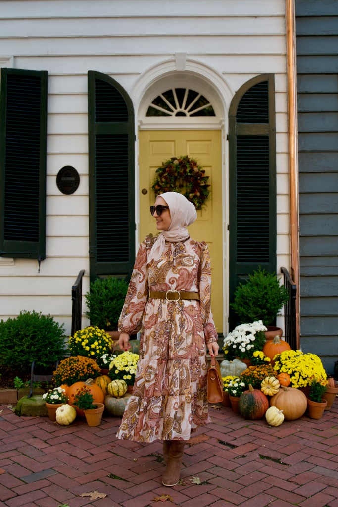 Fall-Midi-Dress-Modest-Fashion-Sezane-Belt-DC-Blogger