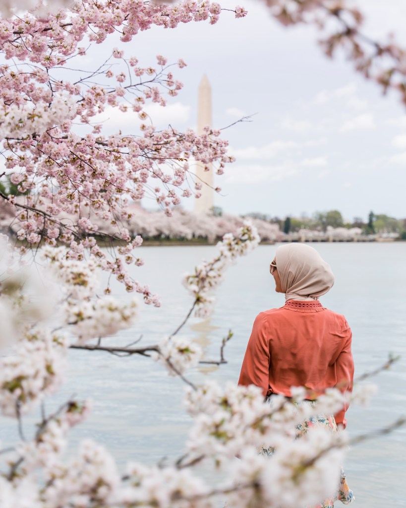 DC-Cherry Blossoms-Tidal Basin-Hijabi Fashion-Lalz