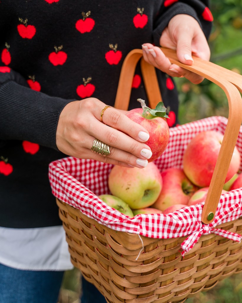 Kate Spade apple toss jacquard sweater-hunter red boots-spanx denim-haute hijab-apple picking-DC blogger-Baugher's Orchard-Maryland-Fall Things To Do