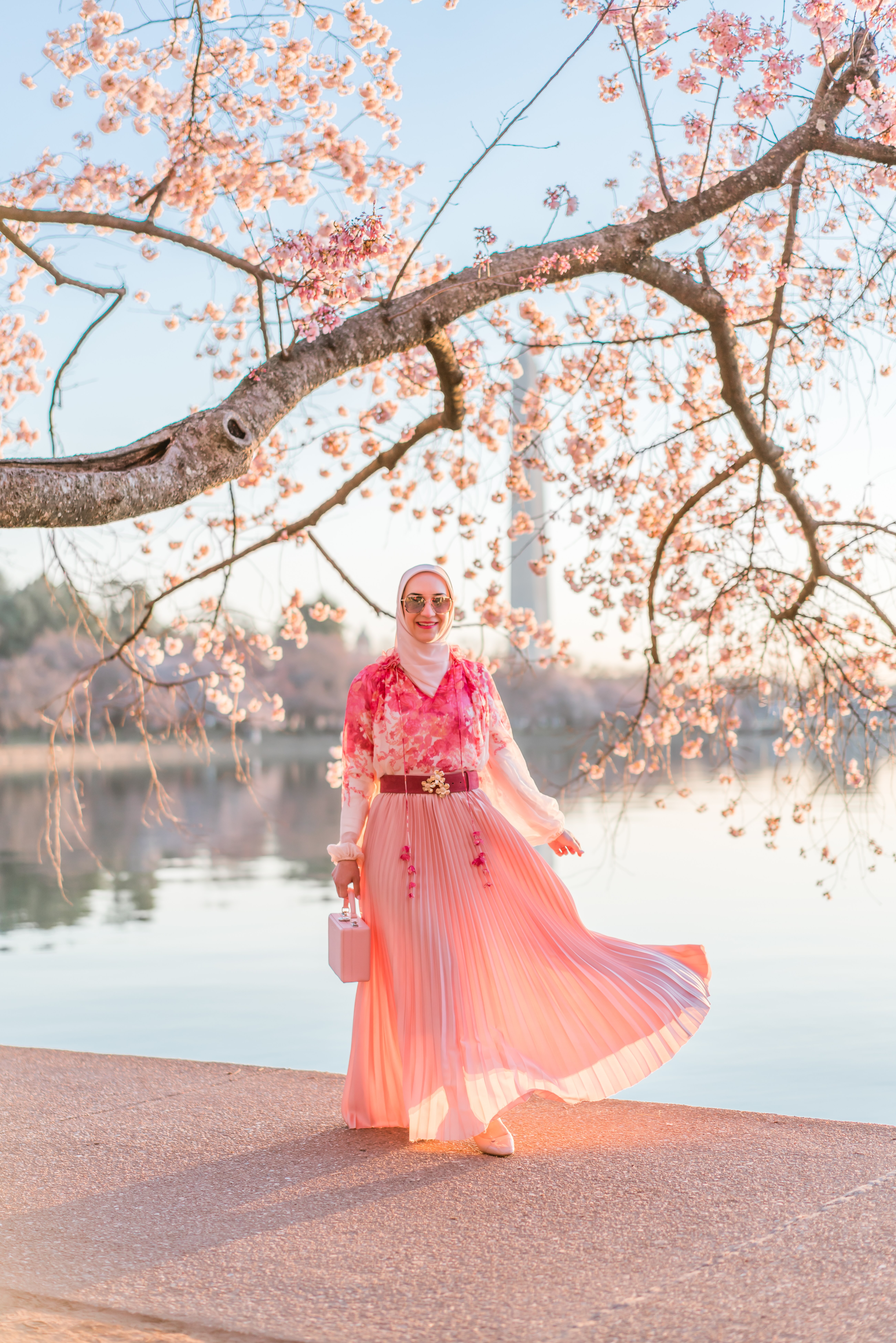 D.C. Cherry Blossom Season - A Day In The Lalz