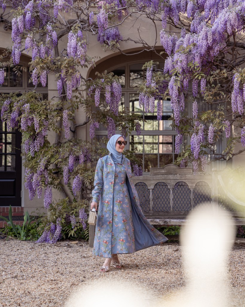 wisteria season DC, Georgetown wisteria, Tuckernuck outfit, DC spring style, Washington DC blooms, spring fashion blog, A Day In The Lalz