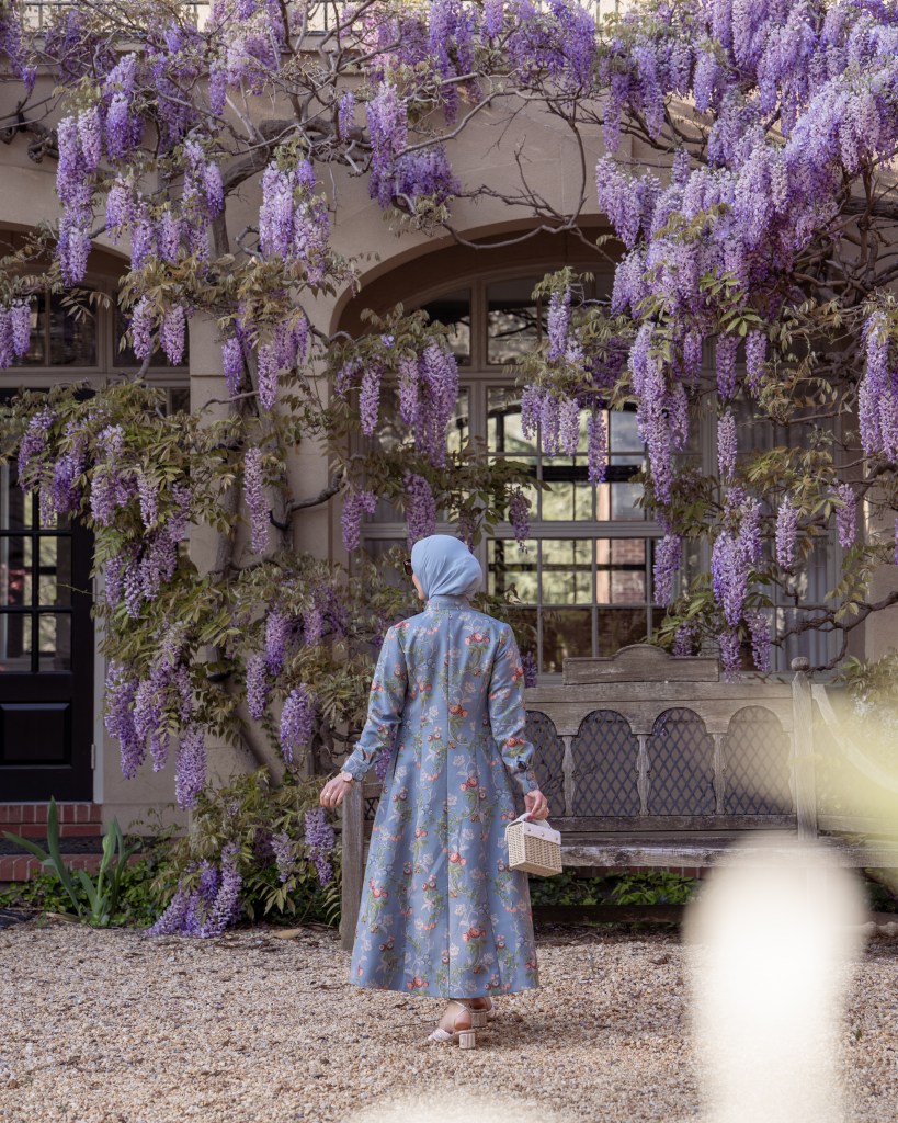 wisteria season DC, Georgetown wisteria, Tuckernuck outfit, DC spring style, Washington DC blooms, spring fashion blog, A Day In The Lalz